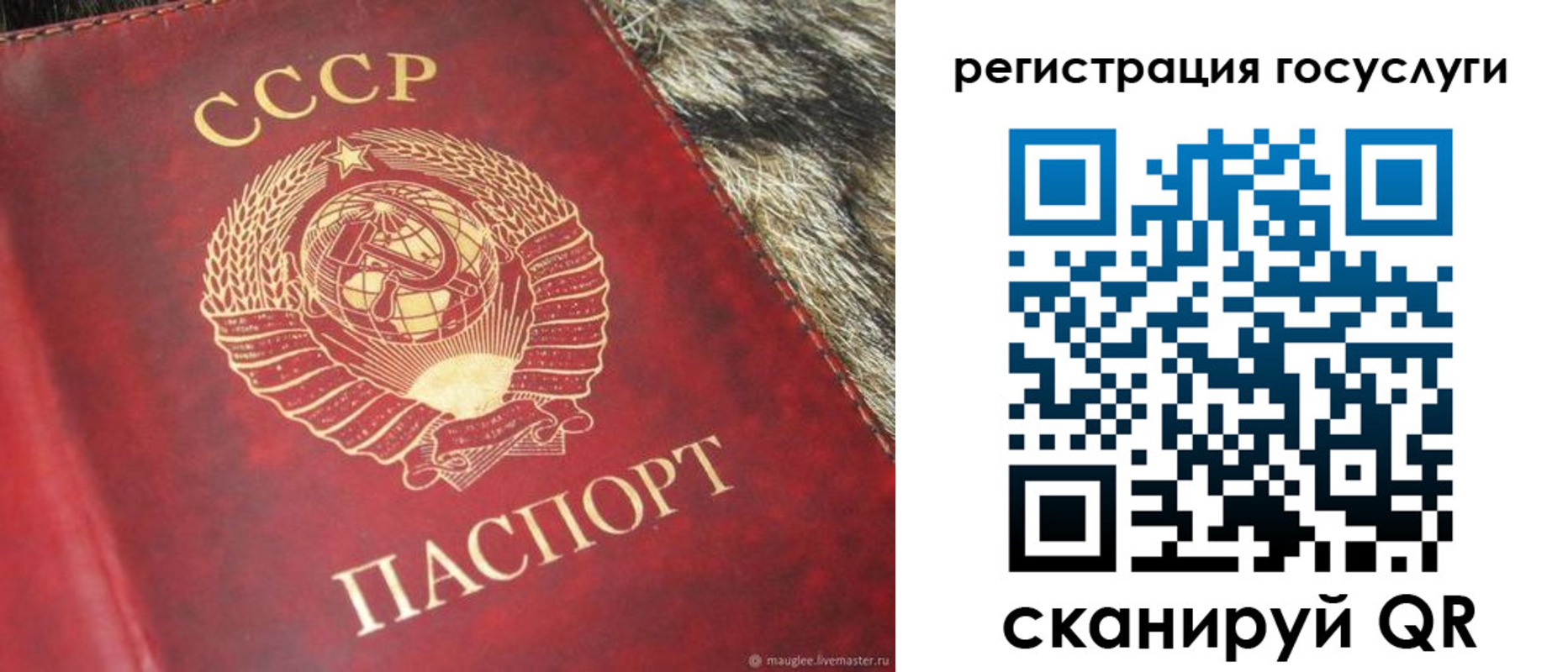 временная регистрация купить в Топках